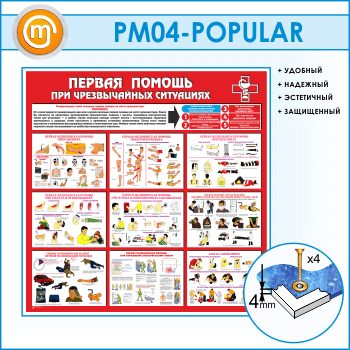 ����� ������� ������ ��� ������������ ���������� (PM-04)